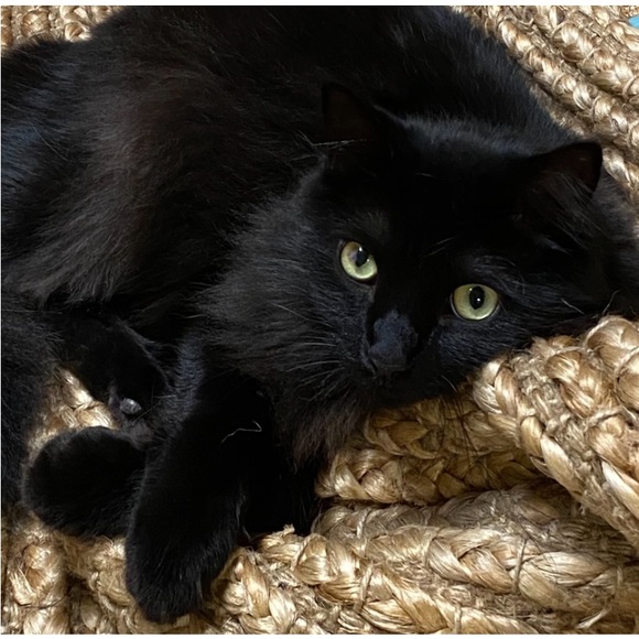 FOLLOW THE JONESES TO 400K! - Picture 8 of 16